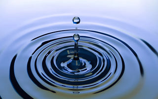 The Ripple Effects of Inclusive Employment