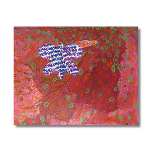 Green Orange Pink Butterfly