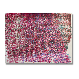 Net of Numbers