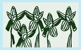Let Your Giving Bloom