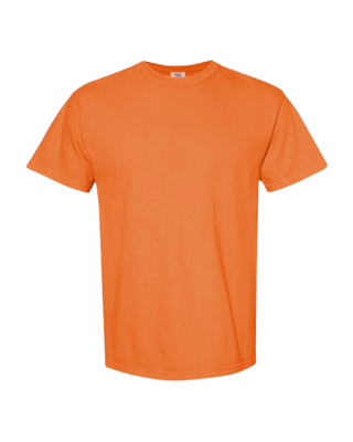 Friends and Family FLC T-Shirt - New Colors!