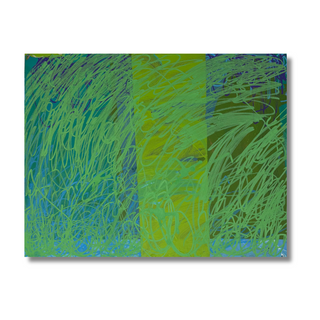 Field