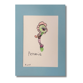 Petunia