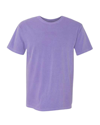 Friends and Family FLC T-Shirt - New Colors!